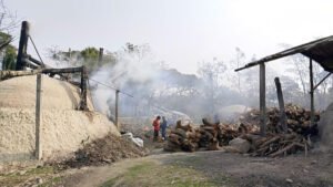 বরগুনায় অবৈধ চুল্লিতে কাঠ পুড়িয়ে পরিবেশ দূষণ