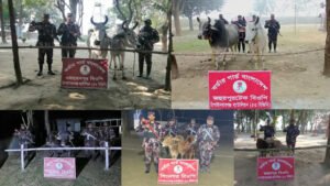 বিজিবির পৃথক অভিযানে ভারতীয় গরু, মহিষ জব্দ