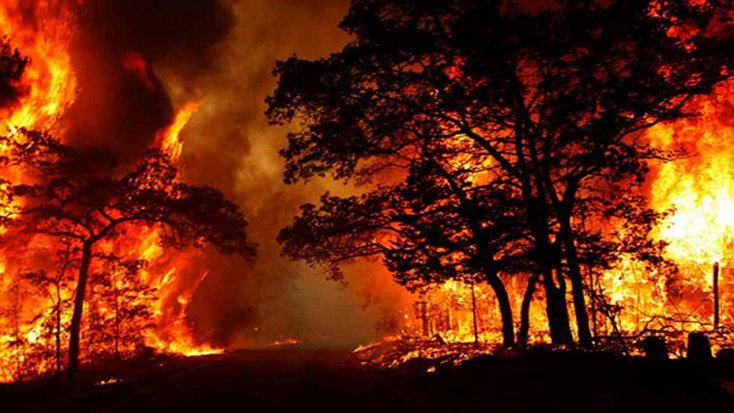 ভয়াবহ দাবানলে পুড়ছে আর্জেন্টিনা