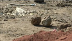 মাটি খুঁড়তে গিয়ে মিলল অবিস্ফোরিত ২ গ্রেনেড