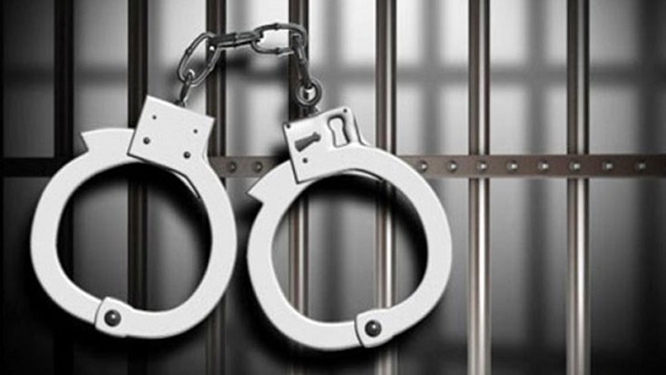 মালয়েশিয়ায় ২২২ বাংলাদেশি আটক