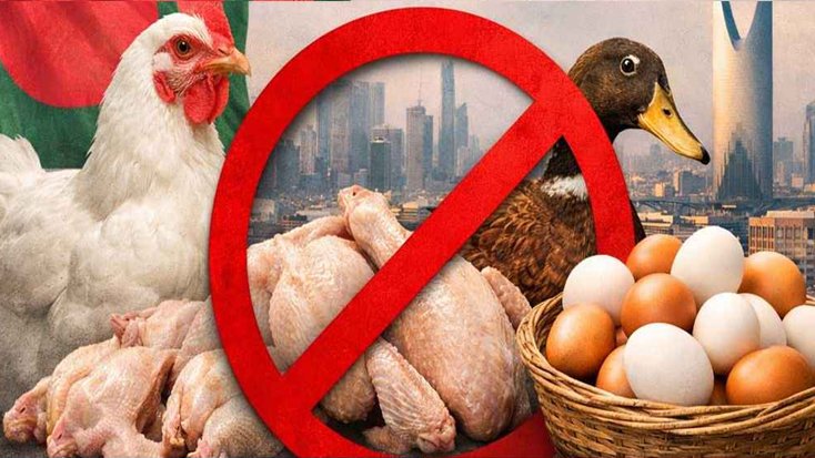 বাংলাদেশসহ ৪০ দেশ থেকে হাঁস-মুরগি ও ডিম আমদানি নিষিদ্ধ করল সৌদি