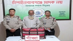 চাঁপাইনবাবগঞ্জে ডিএনসি’র অভিযানে ৬ কেজি গাঁজাসহ আটক ১