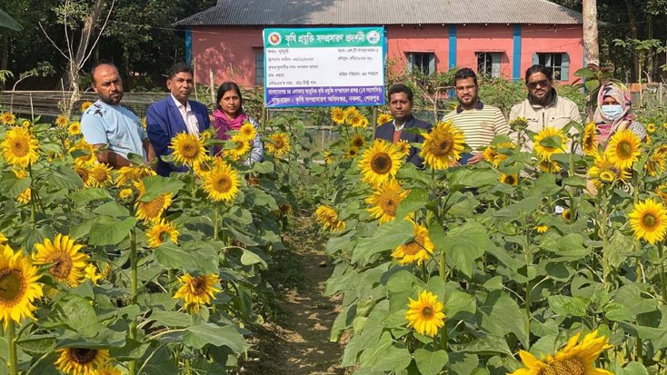 শেরপুরে পতিত জমিতে সূর্যমুখী চাষে বাম্পার ফলনের আশাবাদী কৃষক