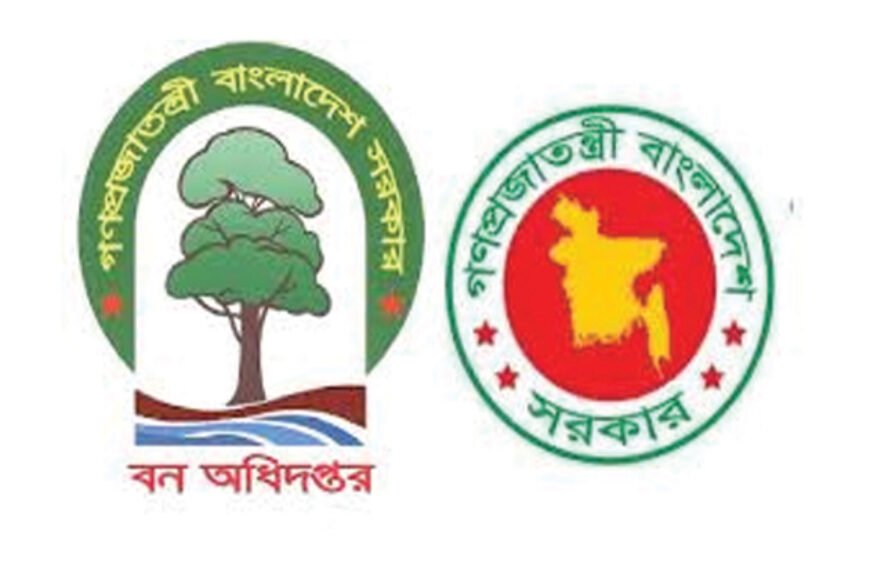 বনে তিন কর্মকর্তা মিলে কোটি টাকা লুটপাট