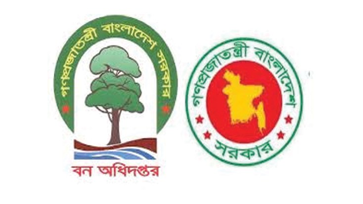 বনে তিন কর্মকর্তা মিলে কোটি টাকা লুটপাট