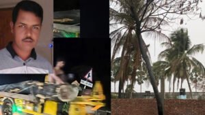 কুয়াকাটায় সরকারি খাস জমির গাছ কেটে বিক্রি