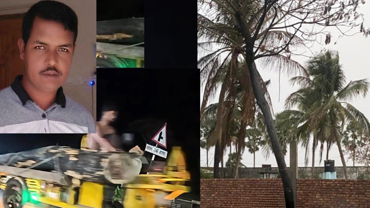 কুয়াকাটায় সরকারি খাস জমির গাছ কেটে বিক্রি