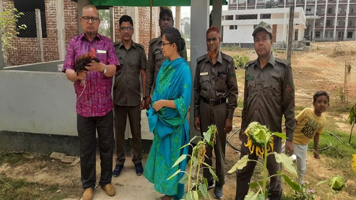 খাগড়াছড়িতে বন মুরগি নিয়ে নাটক