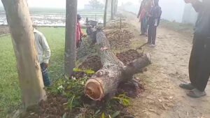 ধুনটে ইউপি কার্যালয়েই বাদী ও নারীকে মারধরের অভিযোগ