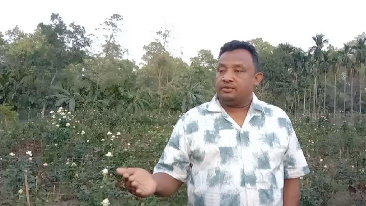 বাহারি রঙের গোলাপ পরামর্শ না পাওয়ায় দিশেহারা কৃষক