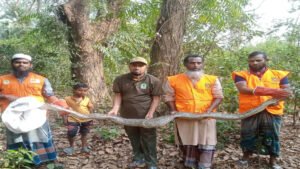 লোকালয় থেকে অজগর উদ্ধার