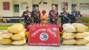সীমান্তে বিজিবি’র অভিযানে মাদক সহ আটক এক