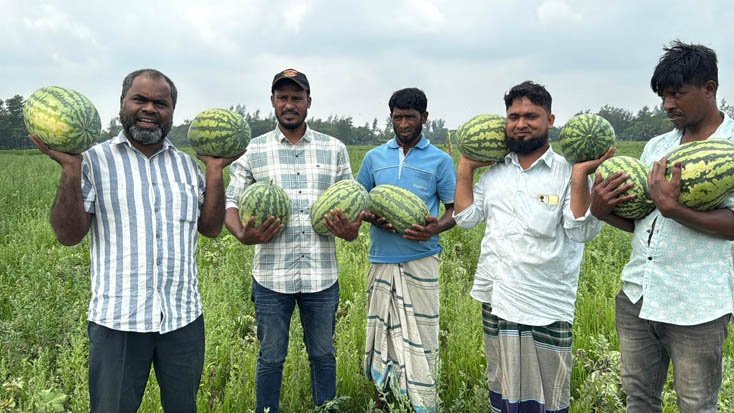 রাজ এগ্রো (রাজ সীডস) তরমুজের বীজ চাষ করে বিভিন্ন অঞ্চলের কৃষক বাজিমাত!