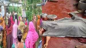 কেশবপুরে মেয়ের হাতে প্রাণ গেল মায়ের