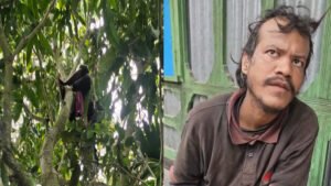 গাছের ডালে ‘লাশ’ ভেবে আতঙ্ক, শেষ পর্যন্ত জীবিত উদ্ধার যুবক