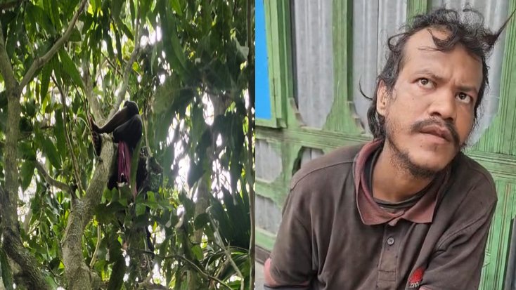 গাছের ডালে ‘লাশ’ ভেবে আতঙ্ক, শেষ পর্যন্ত জীবিত উদ্ধার যুবক