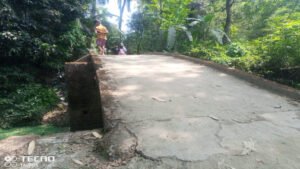 চাটখিলে শতবর্ষী ঝুঁকিপূর্ণ ব্রিজ