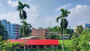 জাতীয় শিক্ষা সপ্তাহ ২০২৬ নোয়াখালীতে চাটখিল মহিলা ডিগ্রি কলেজ