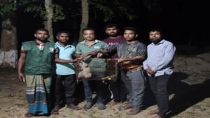 ঝিনাইগাতীতে বিরল লজ্জাবতী বানর উদ্ধার করল বন বিভাগ