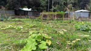 তেল সংকটে সেচ বন্ধ পাহাড়ের কৃষিতে ফসলহানির শঙ্কা