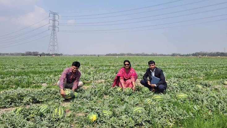 পাইকার সংকটে তরমুজ বাজার, চাষির চোখে লোকসানের শঙ্কা