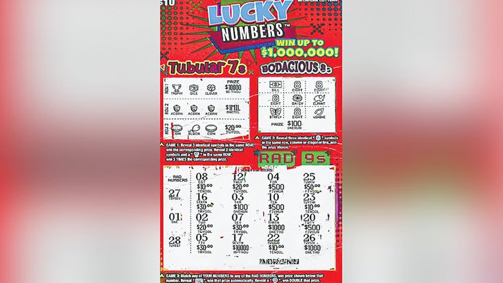 বেড়াতে গিয়ে জিতলেন ১২ কোটি টাকার লটারি