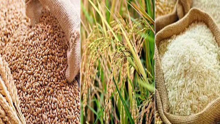 বোরো মৌসুমের ধান-চাল-গমের মূল্য নির্ধারণ