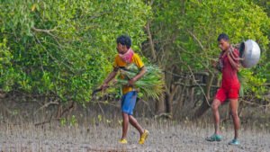 সুন্দরবনে আজ থেকে শুরু হলো মৌয়ালরা