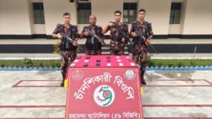 চাঁপাইনবাবগঞ্জে বিজিবির অভিযান চোরাই মোবাইল জব্দ