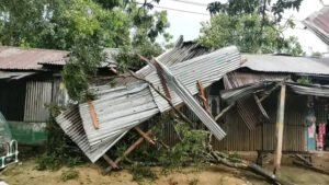 শেরপুরের নালিতাবাড়ীতে ঝড়ে গাছচাপায় বৃদ্ধার মৃত্যু