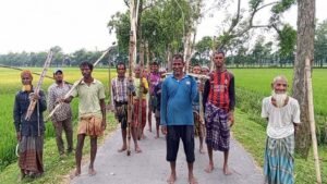 রংপুর সদরে ধান কাটায় ব্যস্ত কৃষক, উৎপাদন ভালো হলেও লাভ নিয়ে শঙ্কা