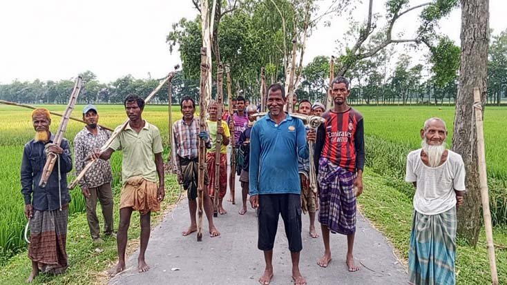 রংপুর সদরে ধান কাটায় ব্যস্ত কৃষক, উৎপাদন ভালো হলেও লাভ নিয়ে শঙ্কা
