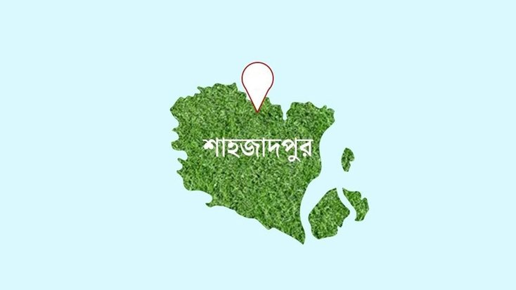 শাশুড়ির পরকীয়া জানানোয় পুত্রবধূকে হত্যার অভিযোগ