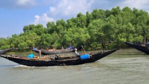 সুন্দরবনে বনদস্যু জাহাঙ্গীর বাহিনীর হাতে ট্রলারসহ ১২ জেলে অপহরণ