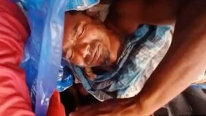 সুন্দরবনে বাঘের আক্রমণে গুরুতর আহত মৌয়াল