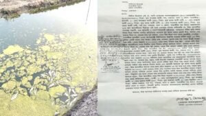 আওয়ামীলীগ নেতা ও একাধিক মামলার আসামি কতৃক মৎস্য ঘেরের মাছ লুট, বিষ প্রয়োগের অভিযোগ