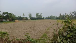 আর্তেরআশার সম্পদ আত্মসাৎ ও বসতভিটা দখলের অভিযোগ, নিরাপত্তাহীনতায় ৪০ পরিবার