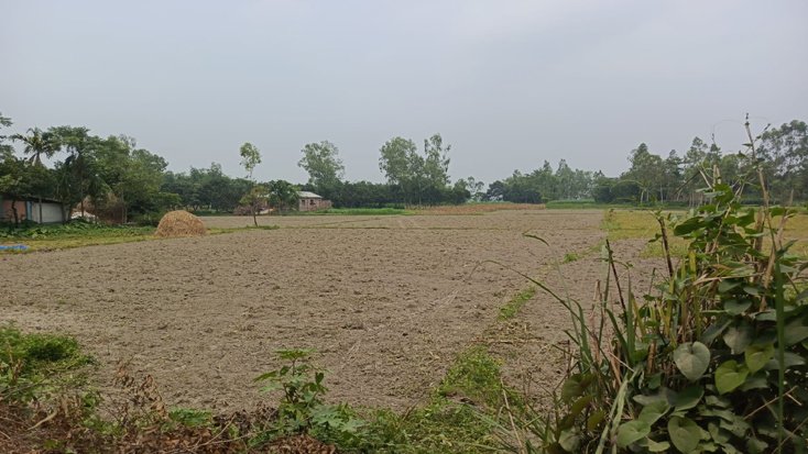 আর্তেরআশার সম্পদ আত্মসাৎ ও বসতভিটা দখলের অভিযোগ, নিরাপত্তাহীনতায় ৪০ পরিবার
