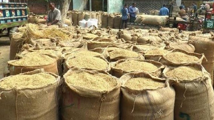 কালীগঞ্জে সরকারি ধান সংগ্রহে অনিয়মের অভিযোগ