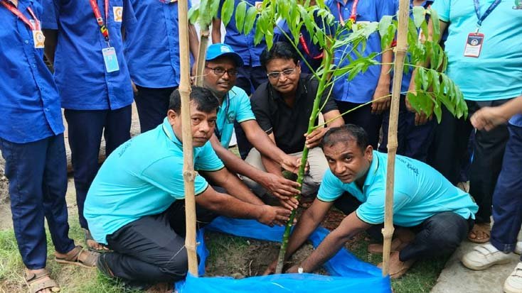 চাঁদপাই স্কুলে জলবায়ু ও পরিবেশ সুরক্ষায় সচেতনতামূলক কর্মসুচি পালন