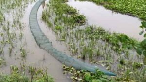 ঝিনাইগাতীতে চায়না দুয়ারি জালে নির্বিচারে দেশীয় মাছের অস্তিত্ব সংকটে
