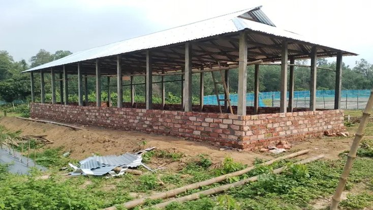 ঝিনাইগাতীতে সরকারি বনভূমি বেদখল রেঞ্জ কর্মকর্তার বিরুদ্ধে নিষ্ক্রিয়তার অভিযোগ 