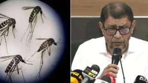 ডেঙ্গু রোগীর অনুপাতে চিকিৎসকের ব্যবস্থা করা হবে স্বাস্থ্যমন্ত্রী