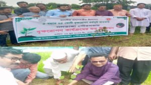নলডাঙ্গায় উপজেলা প্রশাসনের উদ্যোগে ৫ বছরে ২৫ কোটি বৃক্ষরোপণ উদ্বোধন