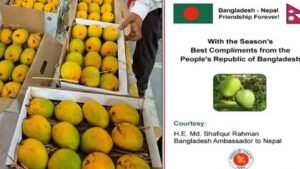 নেপালের রাষ্ট্রপতিকে আম উপহার পাঠাল বাংলাদেশ