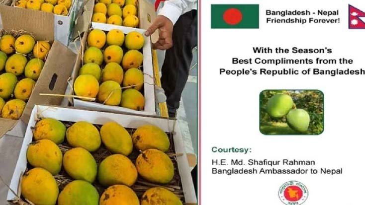 নেপালের রাষ্ট্রপতিকে আম উপহার পাঠাল বাংলাদেশ