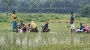 পঞ্চগড় সীমান্ত থেকে ১০ জনকে ফেরত নিলো বিএসএফ
