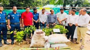 পরিবেশ রক্ষায় লংগদুতে ৩ হাজার ৫০০ গাছের চারা বিতরণ