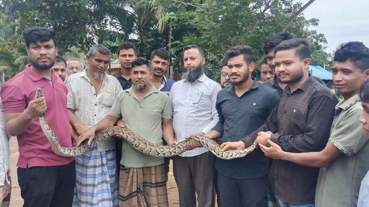 মাছ ধরার জালে ধরা পড়ল ৮ ফুটের বার্মিজ অজগর